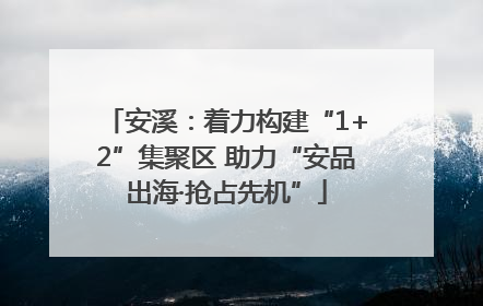 安溪：着力构建“1+2”集聚区 助力“安品出海·抢占先机”