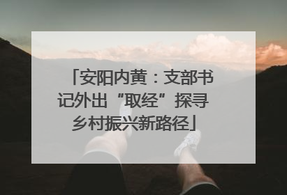 安阳内黄：支部书记外出“取经”探寻乡村振兴新路径