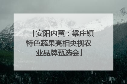 安阳内黄：梁庄镇特色蔬果亮相央视农业品牌甄选会