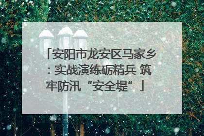 安阳市龙安区马家乡：实战演练砺精兵 筑牢防汛“安全堤”