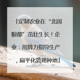 定制农业在“北国粮都”茁壮生长！企业：用算力指导生产，扁平化管理种地