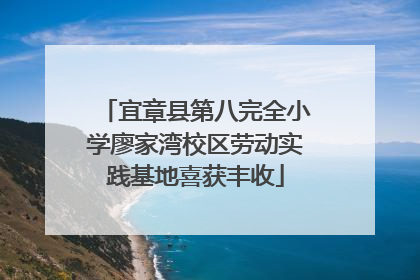 宜章县第八完全小学廖家湾校区劳动实践基地喜获丰收