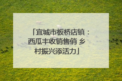 宜城市板桥店镇：西瓜丰收销售俏 乡村振兴添活力