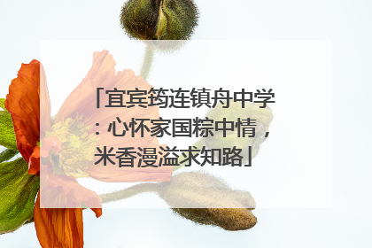 宜宾筠连镇舟中学：心怀家国粽中情，米香漫溢求知路