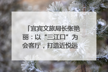 宜宾文旅局长张艳丽：以“三江口”为会客厅，打造近悦远来的国际旅游城市｜文旅局长说