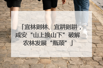 宜林则林、宜耕则耕，咸安“山上换山下”破解农林发展“瓶颈”