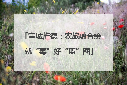 宣城旌德：农旅融合绘就“莓”好“蓝”图