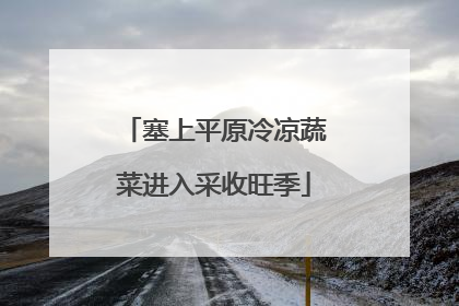 塞上平原冷凉蔬菜进入采收旺季