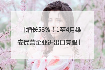 增长53%！1至4月雄安民营企业进出口亮眼