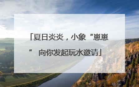 夏日炎炎，小象“崽崽” 向你发起玩水邀请