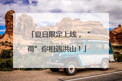 夏日限定上线，“荷”你相遇洪山！