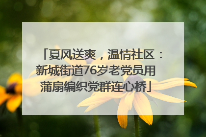 夏风送爽，温情社区：新城街道76岁老党员用蒲扇编织党群连心桥