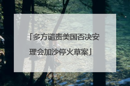 多方谴责美国否决安理会加沙停火草案