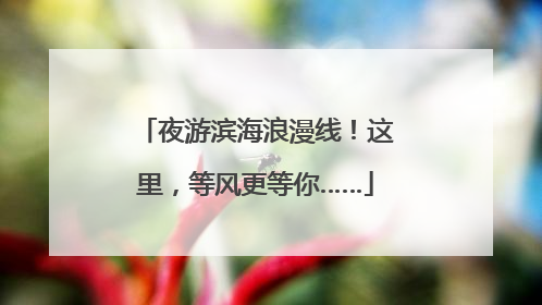 夜游滨海浪漫线！这里，等风更等你……