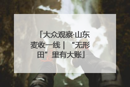 大众观察·山东麦收一线｜“无形田”里有大账