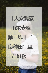 大众观察·山东麦收第一线丨“良种田”里产好粮