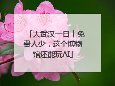 大武汉一日丨免费人少，这个博物馆还能玩AI