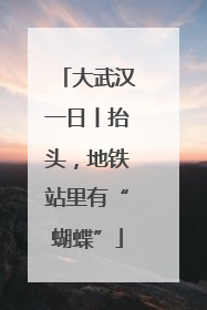 大武汉一日丨抬头，地铁站里有“蝴蝶”