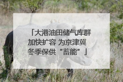 大港油田储气库群加快扩容 为京津冀冬季保供“蓄能”