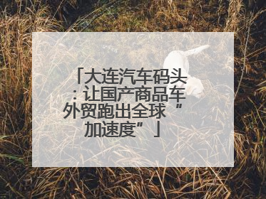 大连汽车码头：让国产商品车外贸跑出全球“加速度”