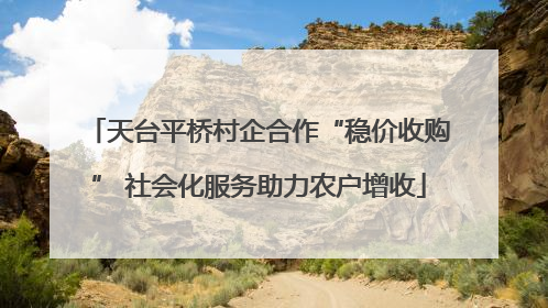 天台平桥村企合作“稳价收购” 社会化服务助力农户增收