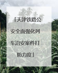 天津铁路公安全面强化列车治安案件打防力度