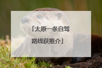 太原一条自驾路线获推介