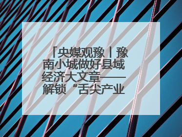 央媒观豫丨豫南小城做好县域经济大文章——解锁“舌尖产业”的创新密码