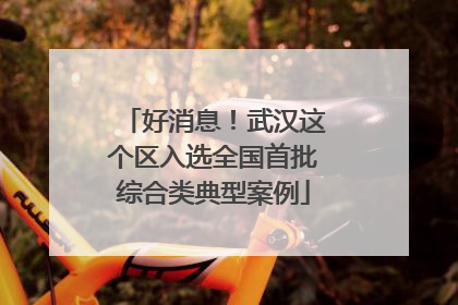 好消息！武汉这个区入选全国首批综合类典型案例