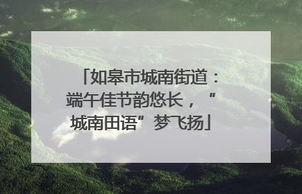 如皋市城南街道：端午佳节韵悠长，“城南田语”梦飞扬