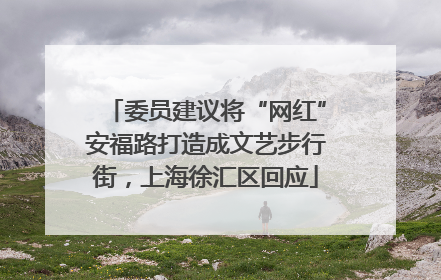 委员建议将“网红”安福路打造成文艺步行街，上海徐汇区回应