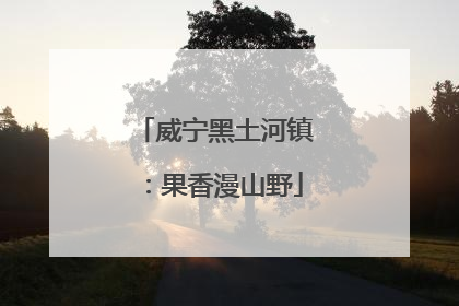 威宁黑土河镇：果香漫山野