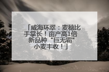 威海环翠：麦穗比手掌长！亩产高1倍 新品种“巨无霸”小麦丰收！