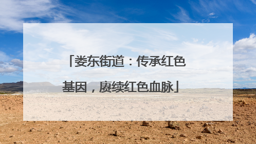 娄东街道：传承红色基因，赓续红色血脉