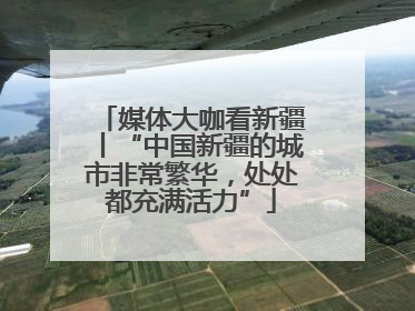 媒体大咖看新疆丨“中国新疆的城市非常繁华，处处都充满活力”