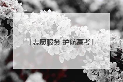 志愿服务 护航高考