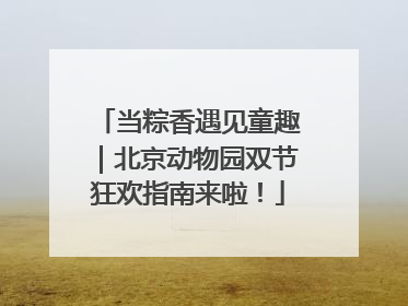 当粽香遇见童趣｜北京动物园双节狂欢指南来啦！