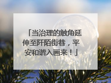 当治理的触角延伸至阡陌街巷，平安和谐入画来！