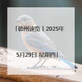 德州速览丨2025年5月29日 星期四