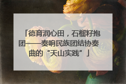 德育润心田，石榴籽抱团——奏响民族团结协奏曲的“天山实践”