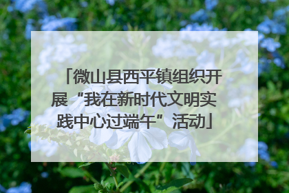 微山县西平镇组织开展“我在新时代文明实践中心过端午”活动
