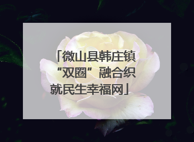 微山县韩庄镇“双圈”融合织就民生幸福网