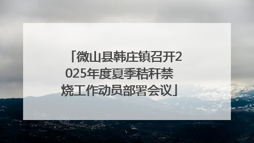 微山县韩庄镇召开2025年度夏季秸秆禁烧工作动员部署会议