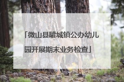 微山县驩城镇公办幼儿园开展期末业务检查