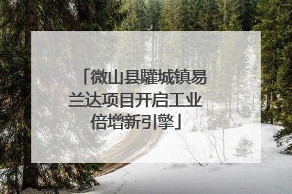 微山县驩城镇易兰达项目开启工业倍增新引擎