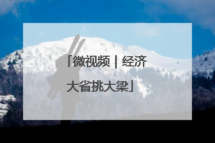 微视频｜经济大省挑大梁