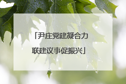 尹庄党建凝合力 联建议事促振兴