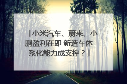 小米汽车、蔚来、小鹏盈利在即 新造车体系化能力成支撑？