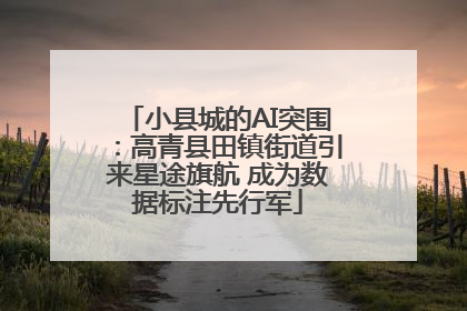 小县城的AI突围：高青县田镇街道引来星途旗航 成为数据标注先行军
