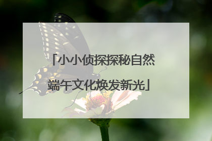 小小侦探探秘自然 端午文化焕发新光